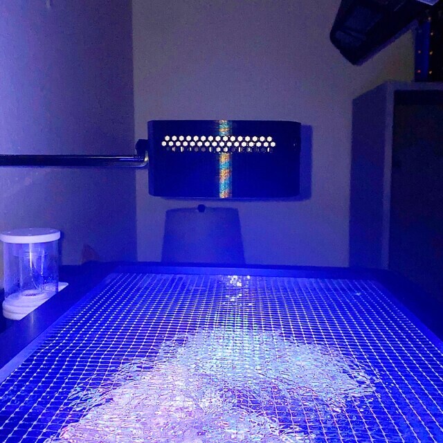 Ai Prime Light shade