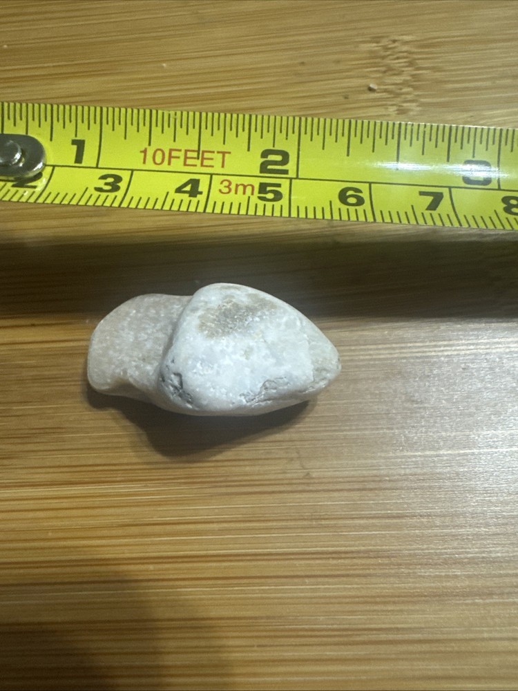 Quartzite, a type of Metamorphic Rock