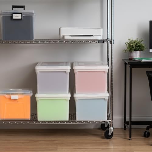 File Box, File Organizer w/Hinged Split Lid for Letter File, Wing Lid - 4 Pack