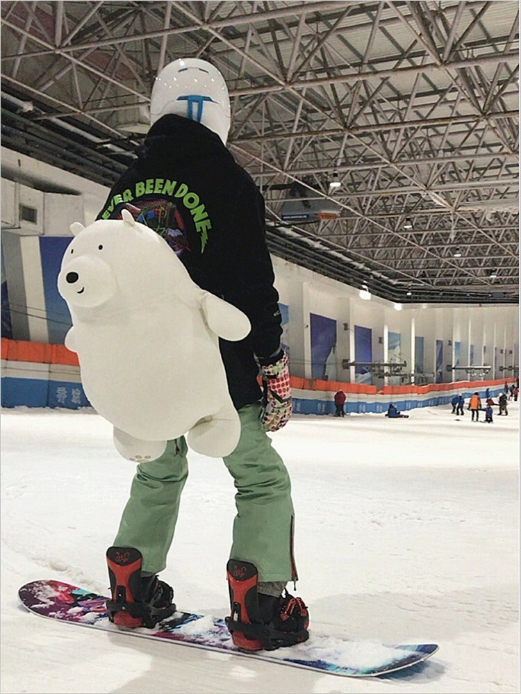 Protective Gear for Skiing Snowboarding Cute Turtle Tortoise Cushion