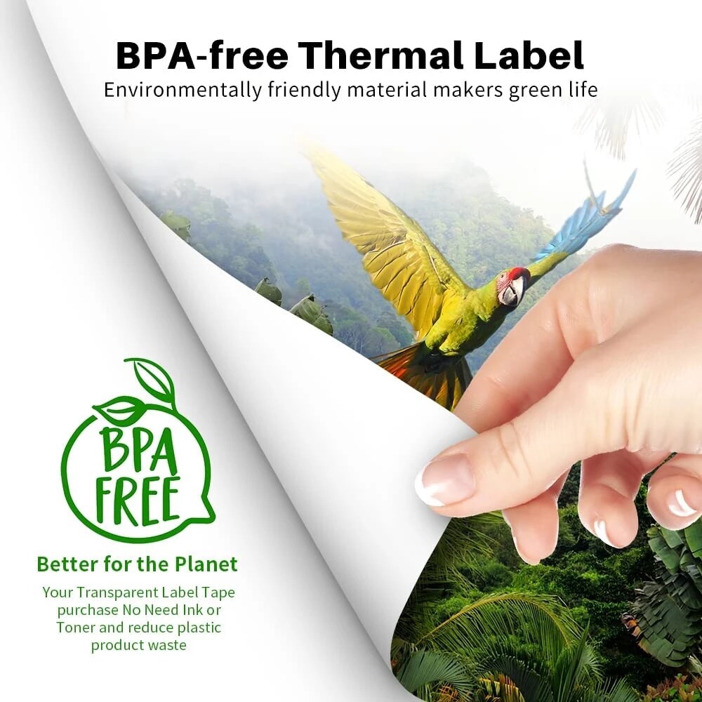 200-Sheets Phomemo A4 Thermal Paper Phomemo M08F Portable A4 Thermal Printer