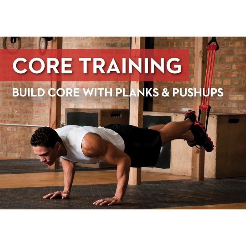 Adjustable Pull Up Assistance System Heavy Duty Bar Hook Fitness Training New