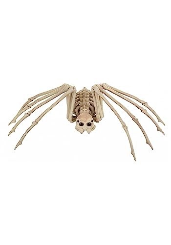 Skeleton Spider