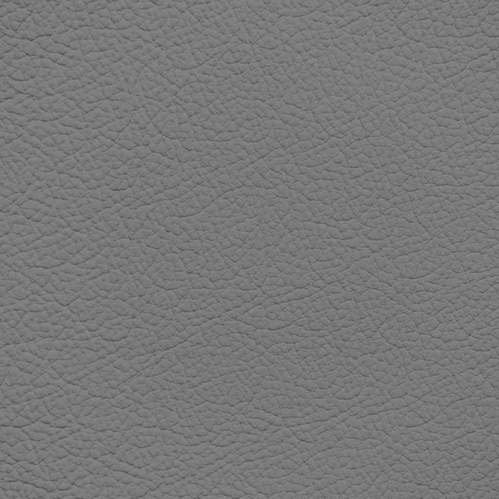 Audi Rotor Grey Leather Dye