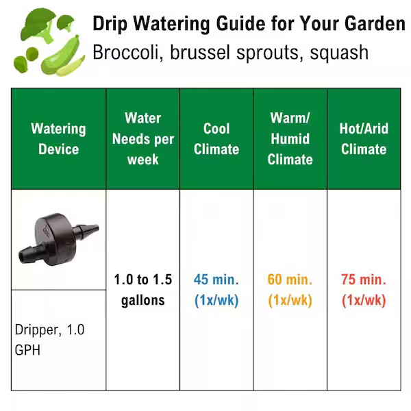 2 GPH Pressure Compensating Spot Watering Drippers/Emitters (30-Pack)