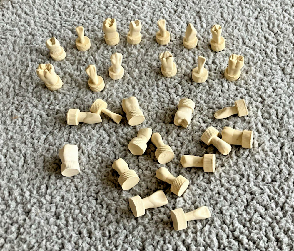 DENTAL TEETH Models 28 pcs Typodont Demonstration For Students Teach Tooth Study