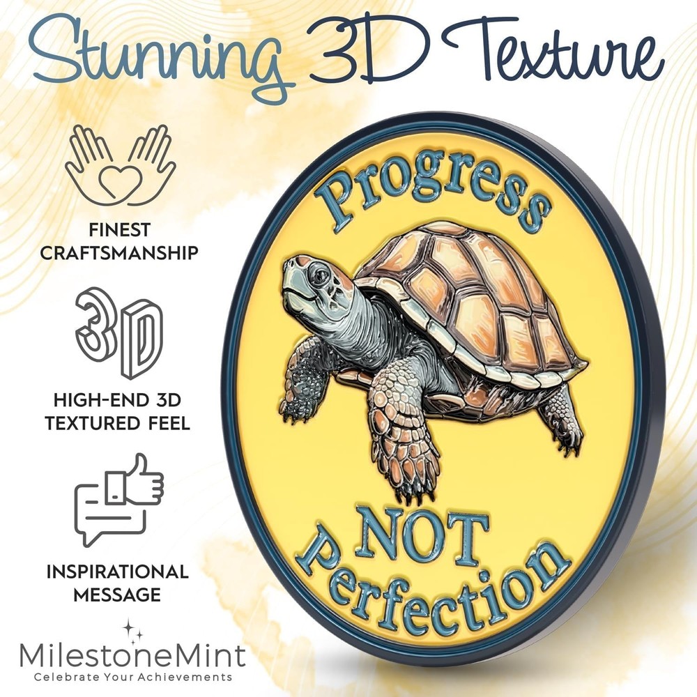 Affirmation Sobriety Coin Gift Set 3D Turtle Design Inspirational AA Chip