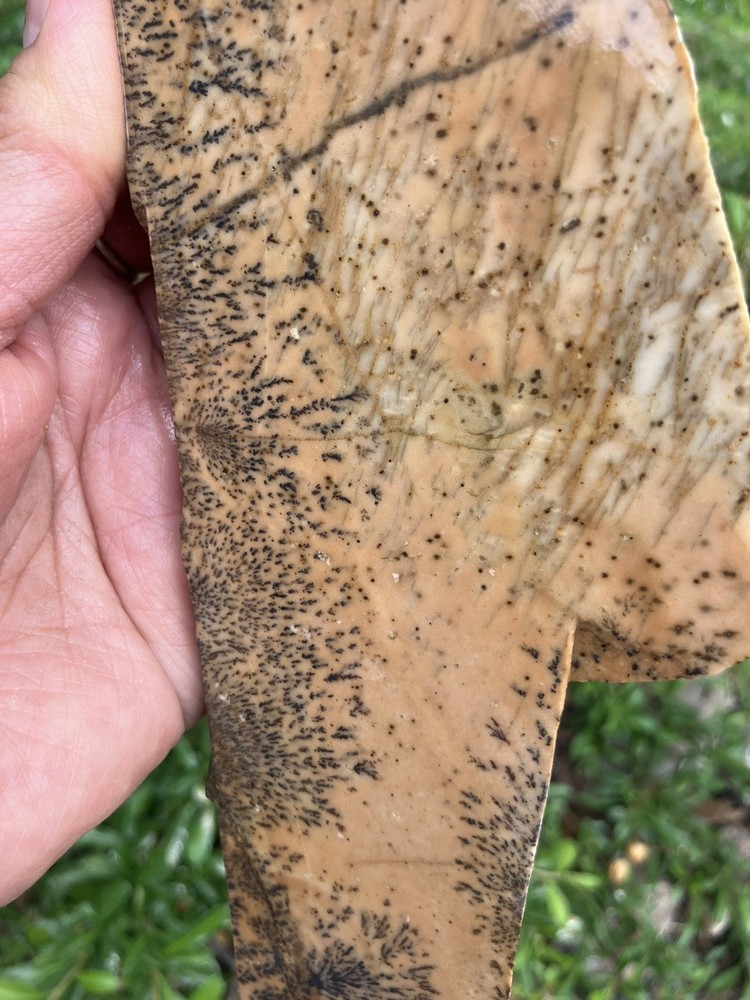 Dendritic Rhyolite Slab