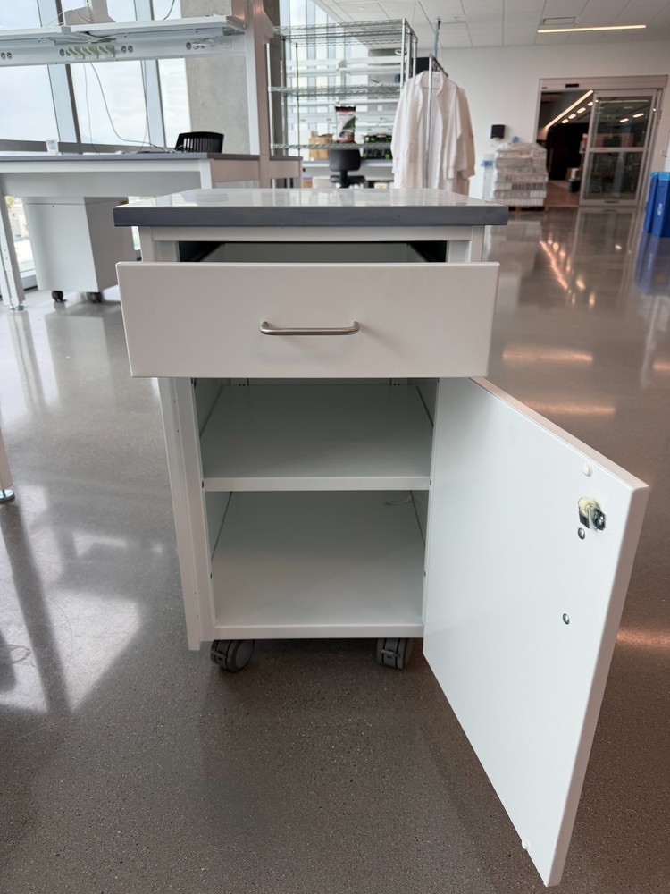 Mott Pedestal Lab Cabinet