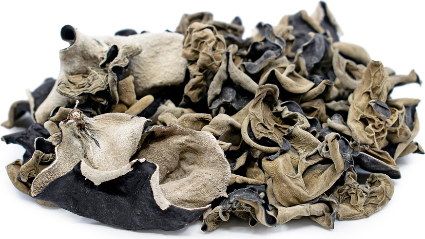 Wood Ear Mushroom (dried) 1 LB