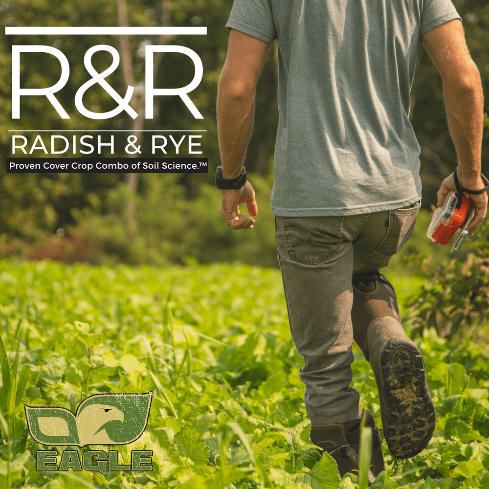 Eagle Seed R&R Fall Blend™ Rye & Radish | Deer Food Plot Seed