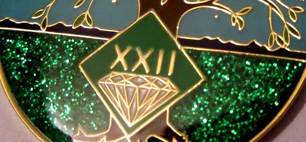 Narcotics Anonymous NA Tree Green 22 Year Medallion Gold Black