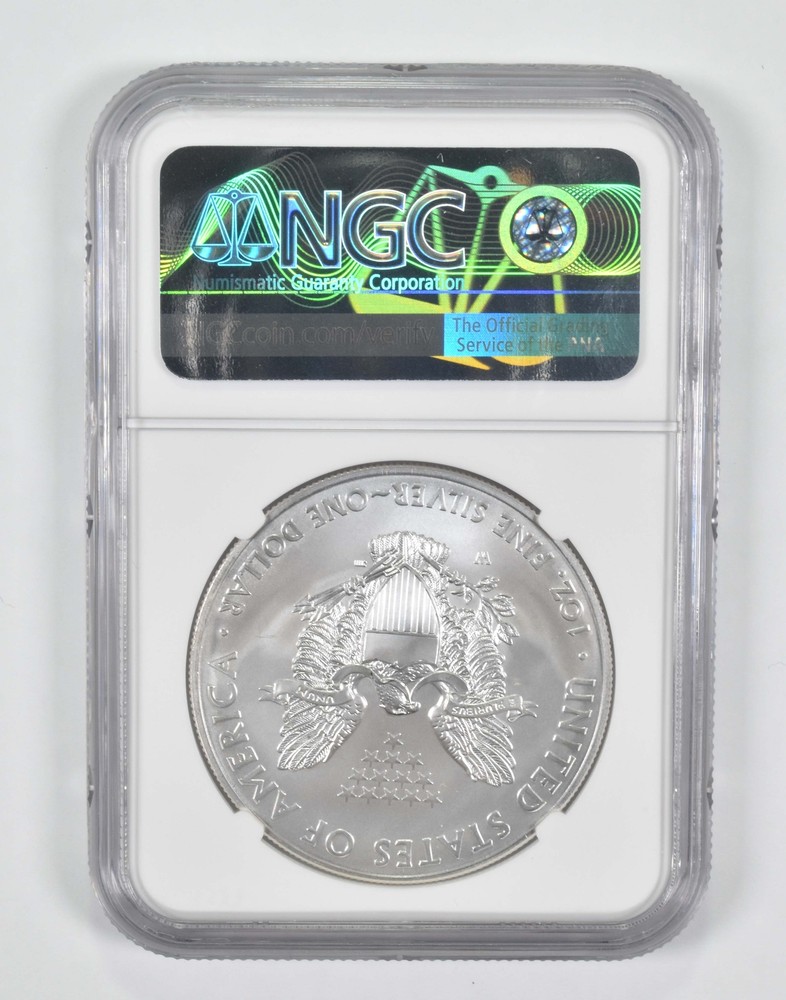 MS70 2013-W Burnished Annual Set - American Silver Eagle NGC