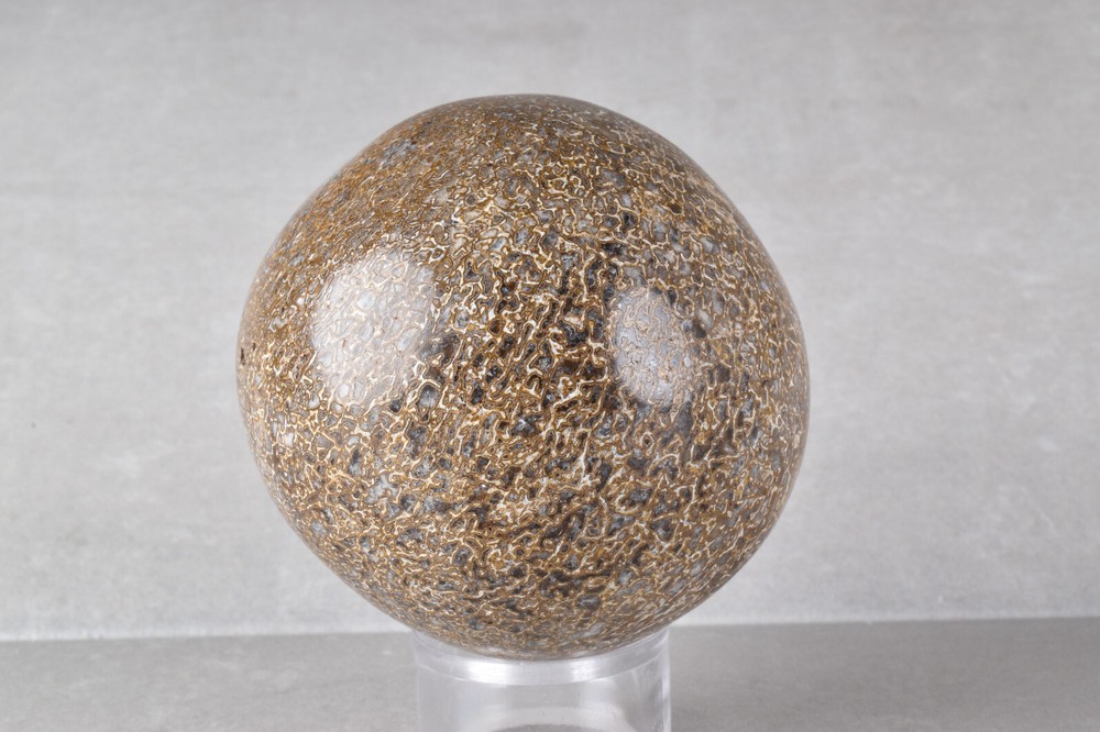 Dinosaur Bone Sphere from Morocco 6.8 cm # 21482