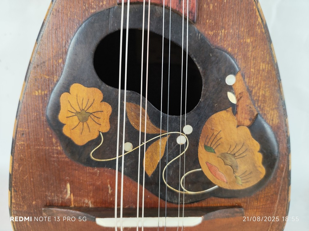 Mandolin 4/4 Testori Francesco 1900 Naples 曼陀林 만돌린マンドリン