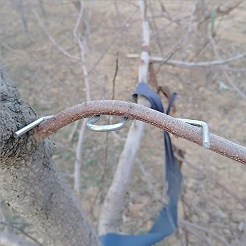 Fruit Tree Branch Puller Tying Machine Farm Tools Plum Tree Open Angle Pull Bran