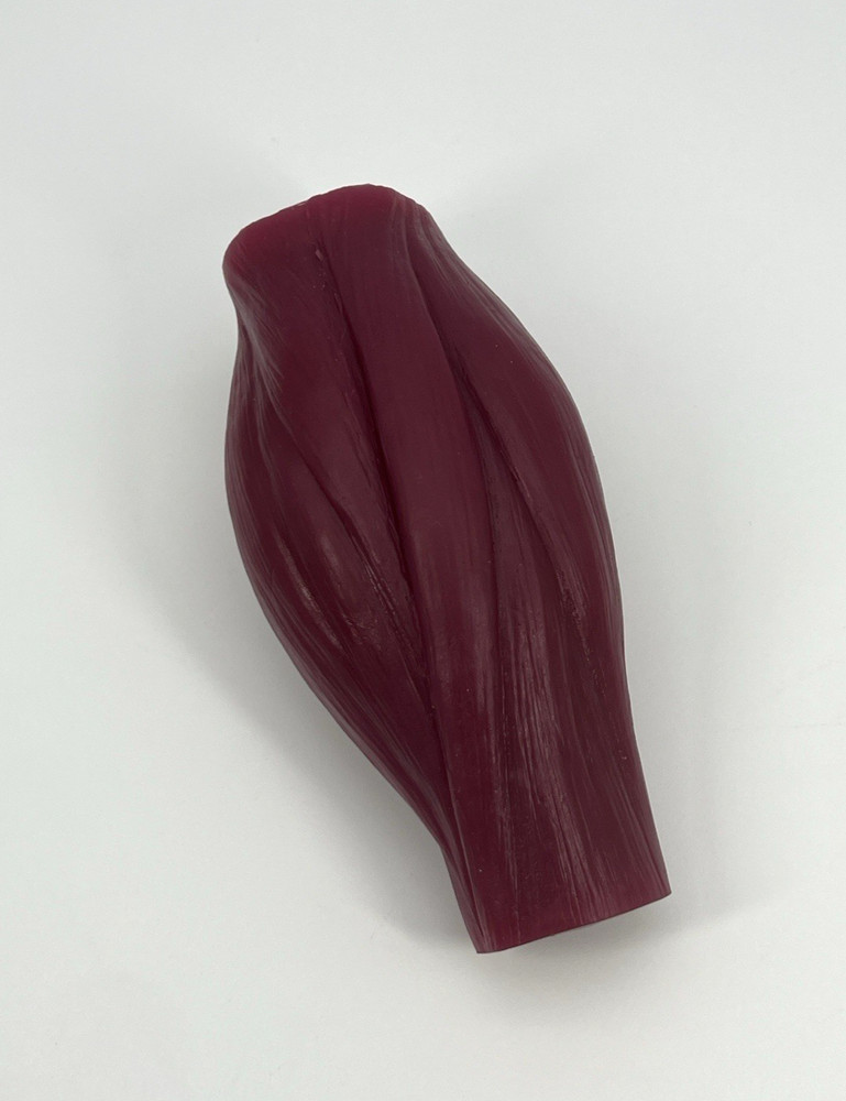 Human Body Muscle & Fat Replica 1lb with Display Base