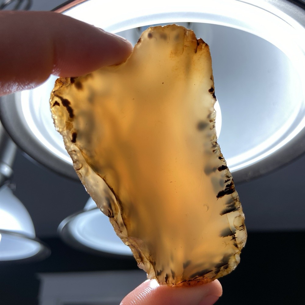 Montana Agate Rough Lapidary Stone 4.94 Oz