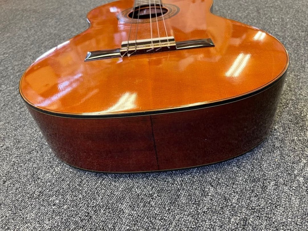 Suzuki Violin Classical Guitar No