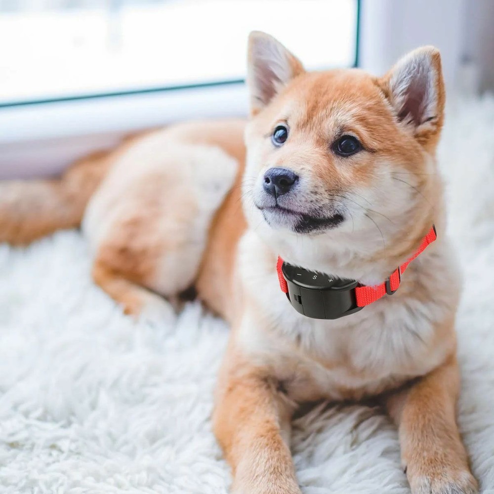 Automatic Anti Bark Barking Shock Control Collar For Small Medium Large Dog 2023