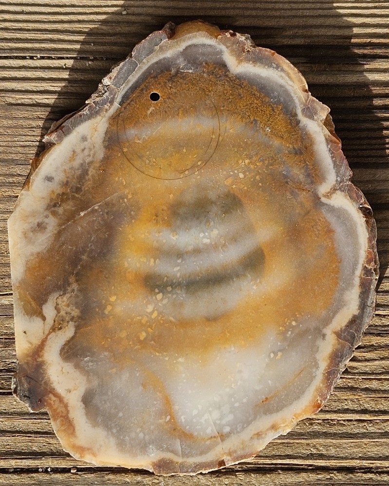 Agate Lapidary Slab 101 Grams