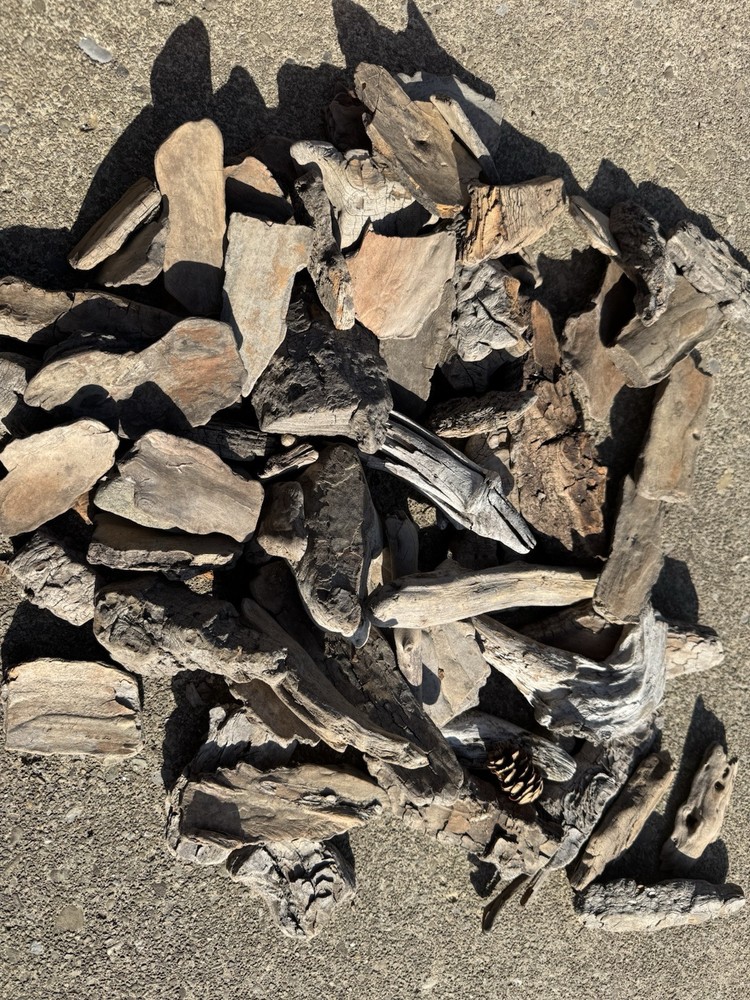 Alaska Driftwood And Tree Bark - 2.5 Lbs