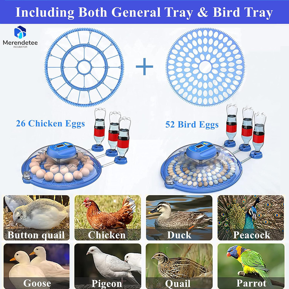 26-52 Eggs Automatic Incubator | Upgrade Automatic Water Adding |360 Degree View