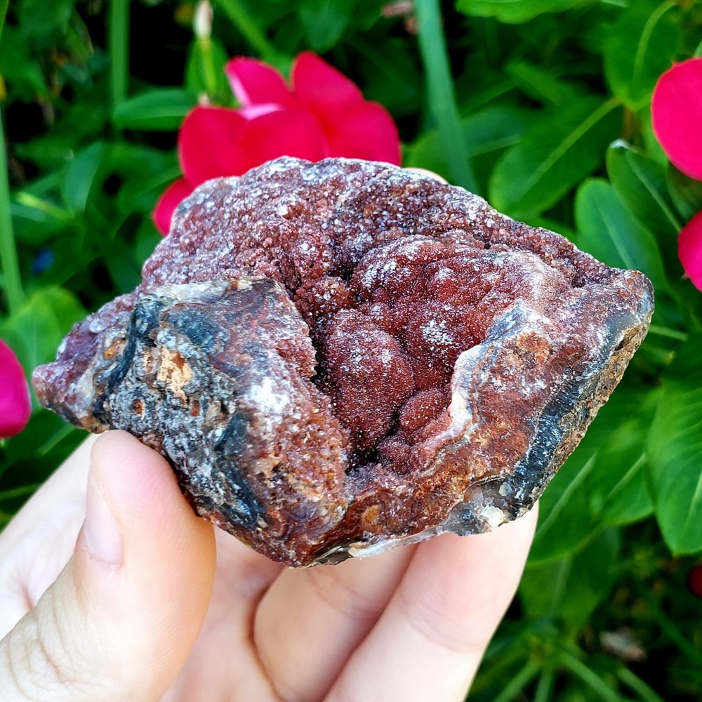 Fossilized Agate shell Cluster druzy natural crystal healing gemstone - #3