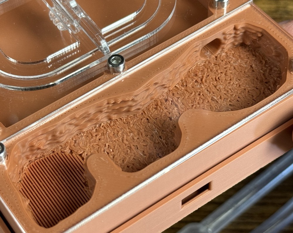 Ant farm "Eco"