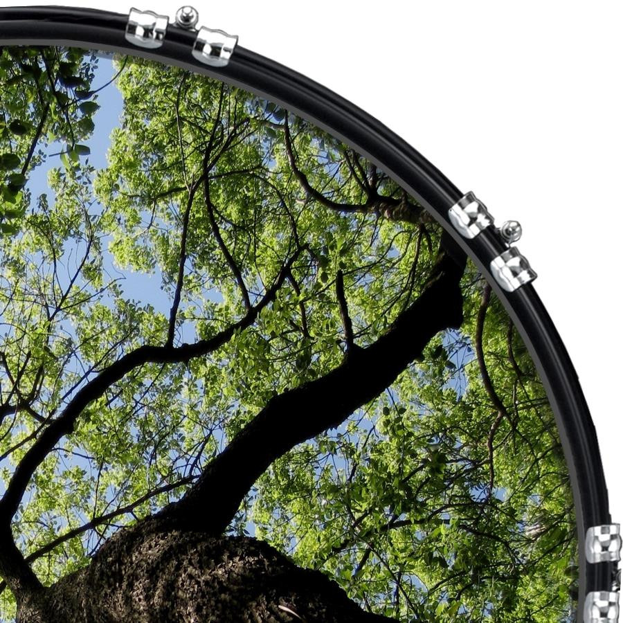 20" Custom Bass Kick Drum Front Head Graphic Graphical Train Tree 1