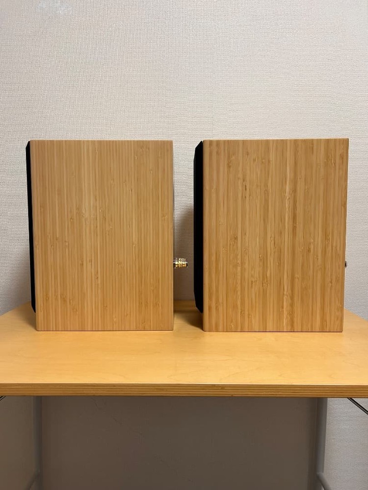 Ascend Acoustics Sierra-LX speaker