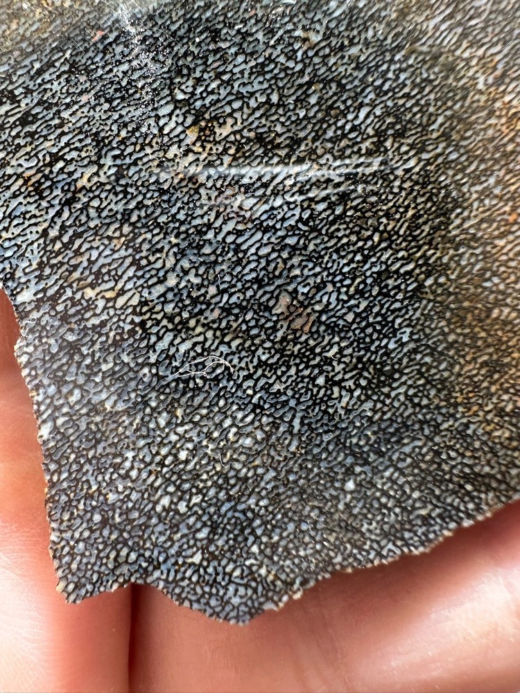 Dinosaur bone rough **hxtled slab.