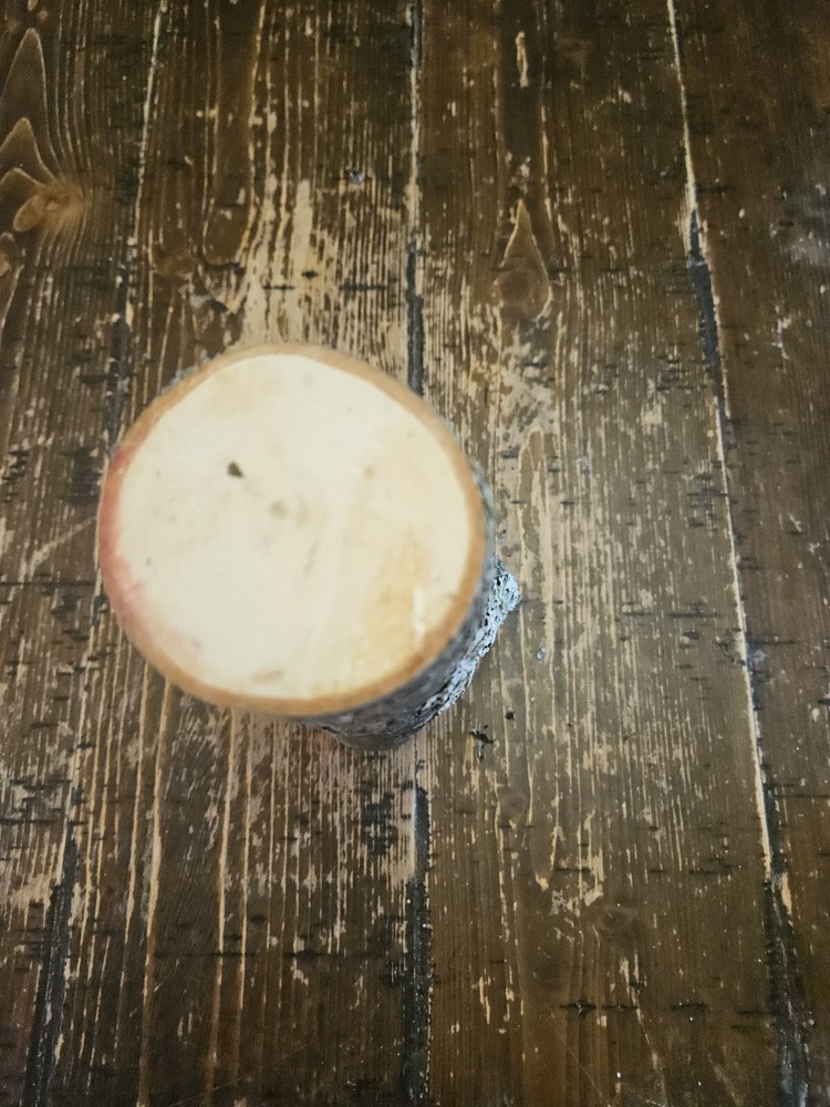 MAPLE Turning Crotch Log 9" Long M4851