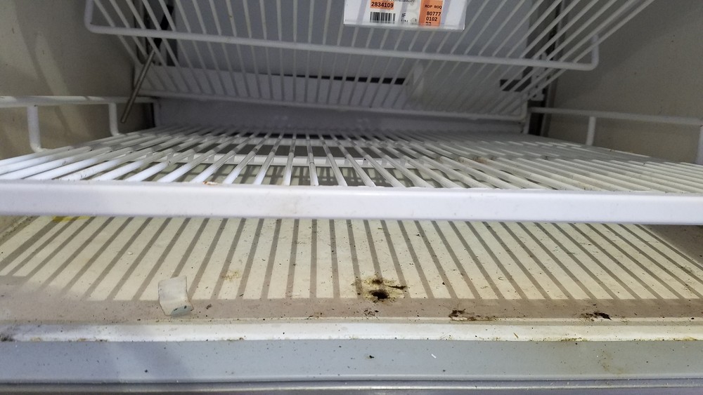 Helmer HLF105 Horizon Series Laboratory Freezer