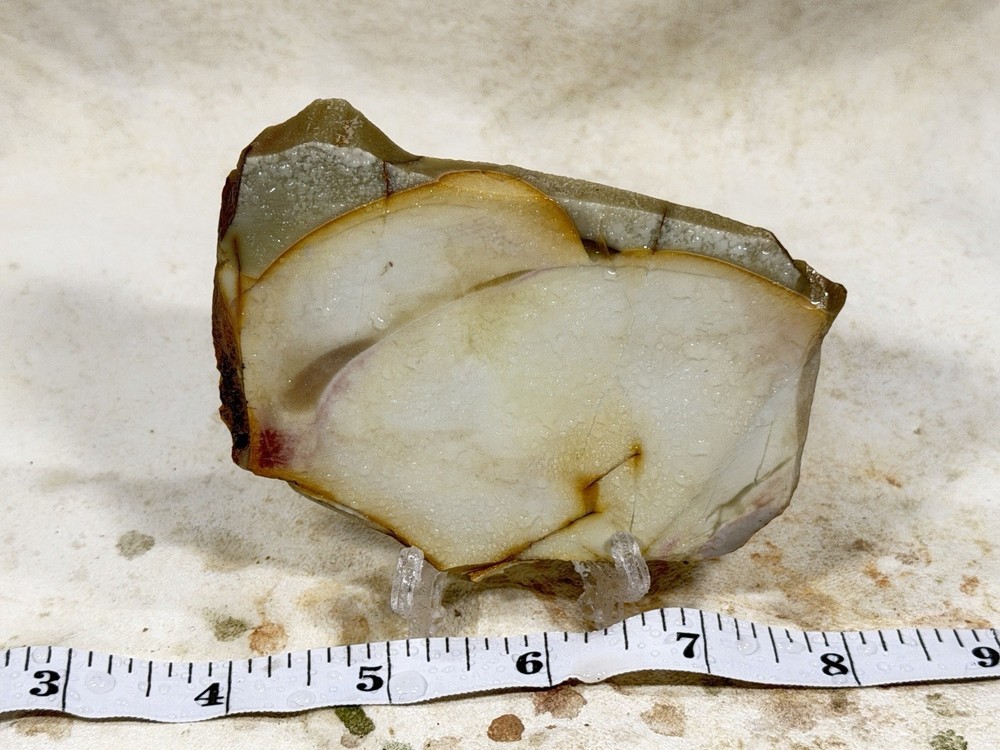 Willow Creek Jasper Slab, Lot #319