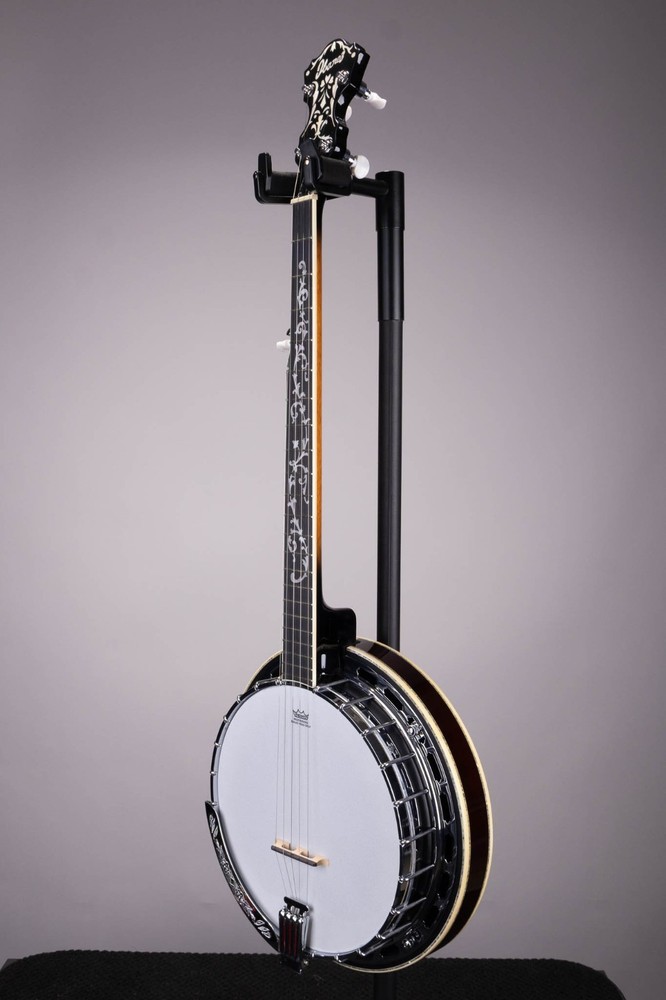 Ibanez B300 5 String Closed Back Banjo Natural