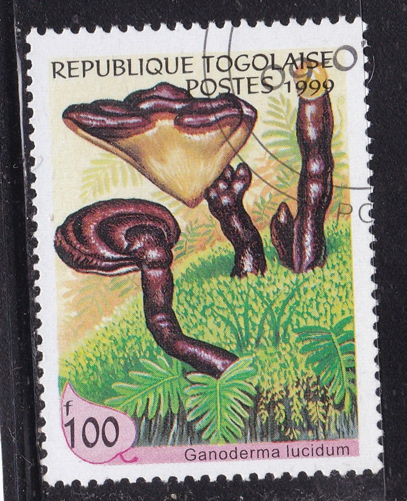 Togo 1999 Fungi Ganoderma Lucidum 100f CTO VGC