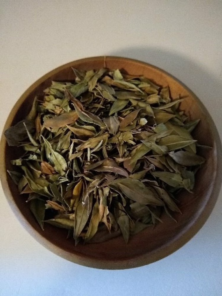 Myrtle Leaf Whole (Myrtus communis) Organic 1 oz.