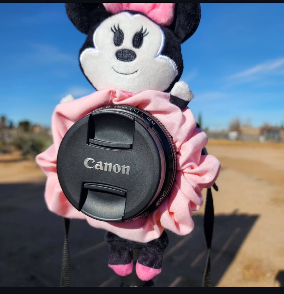 Minnie Mouse Shutter Hugger Disney  Handmade Shutter Accessory