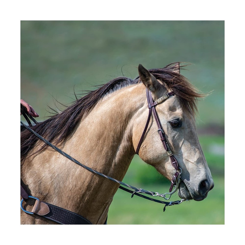Cashel Rawhide Browband Headstall Double Trim