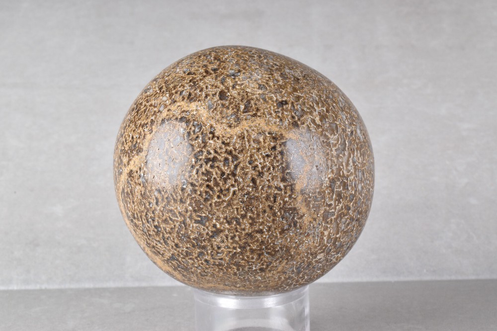 Dinosaur Bone Sphere from Morocco 6.8 cm # 21482