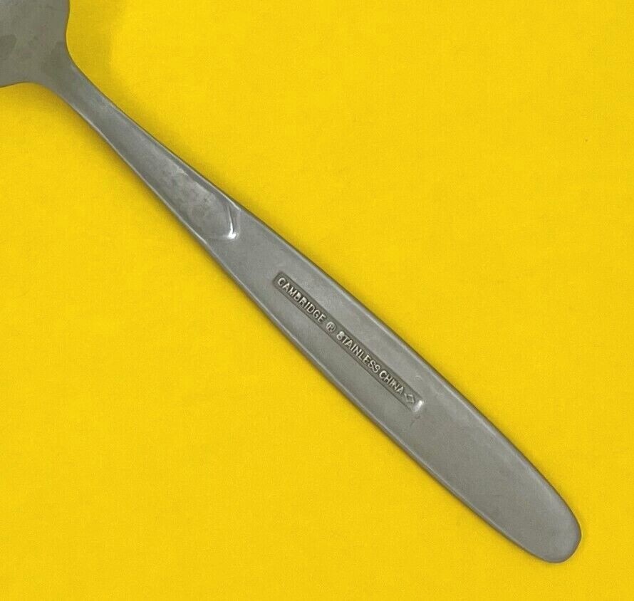 CAMBRIDGE CRESCENT FROST HANDLE STAINLESS FLATWARE SINGLES & GROUPS - CHOICE