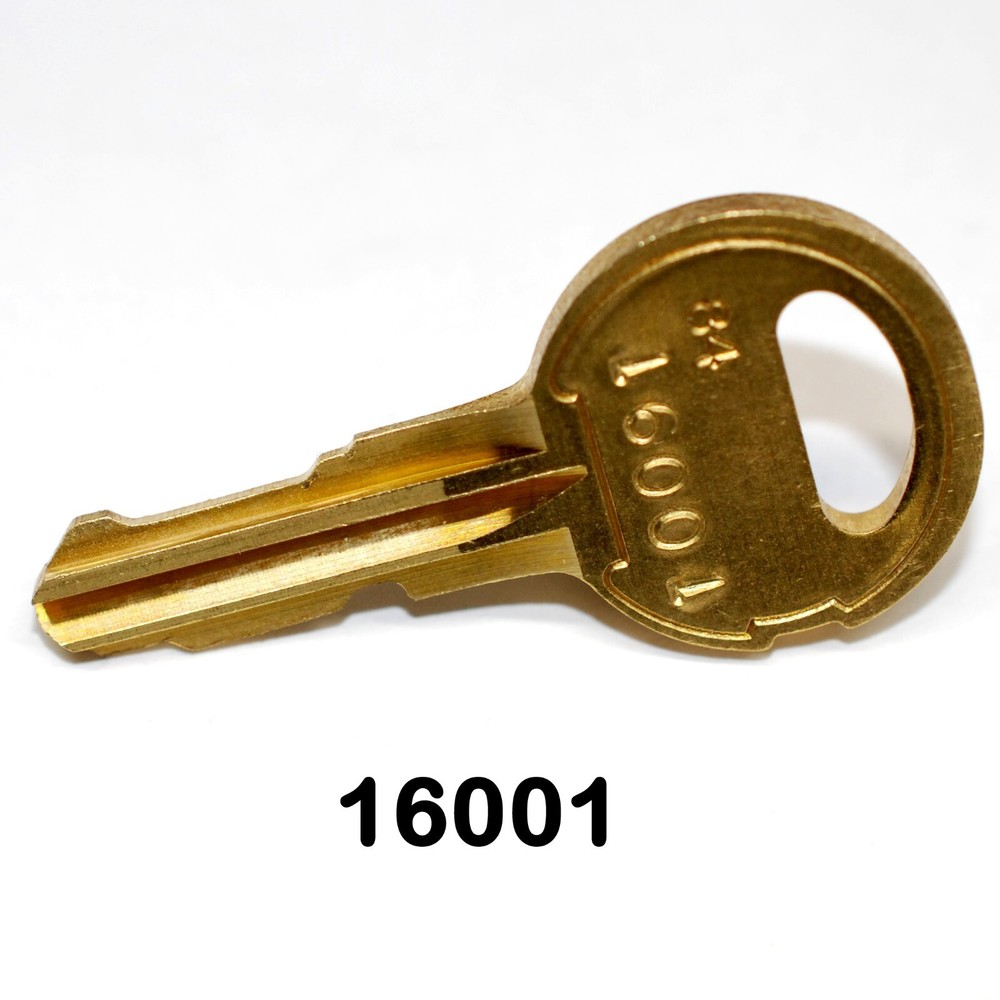 16001 DKS Doorking Replacement Key...