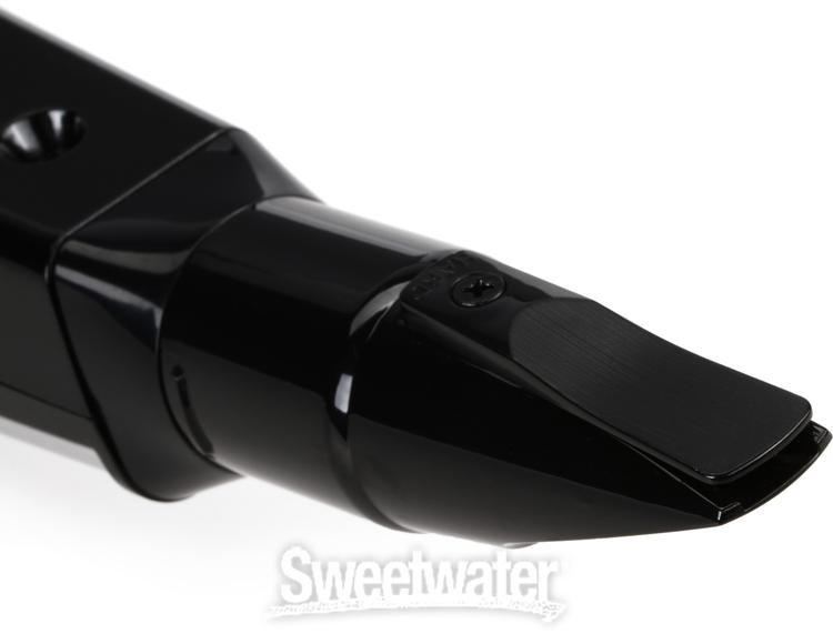 Roland Aerophone Pro AE-30 Digital Wind Instrument - Silver