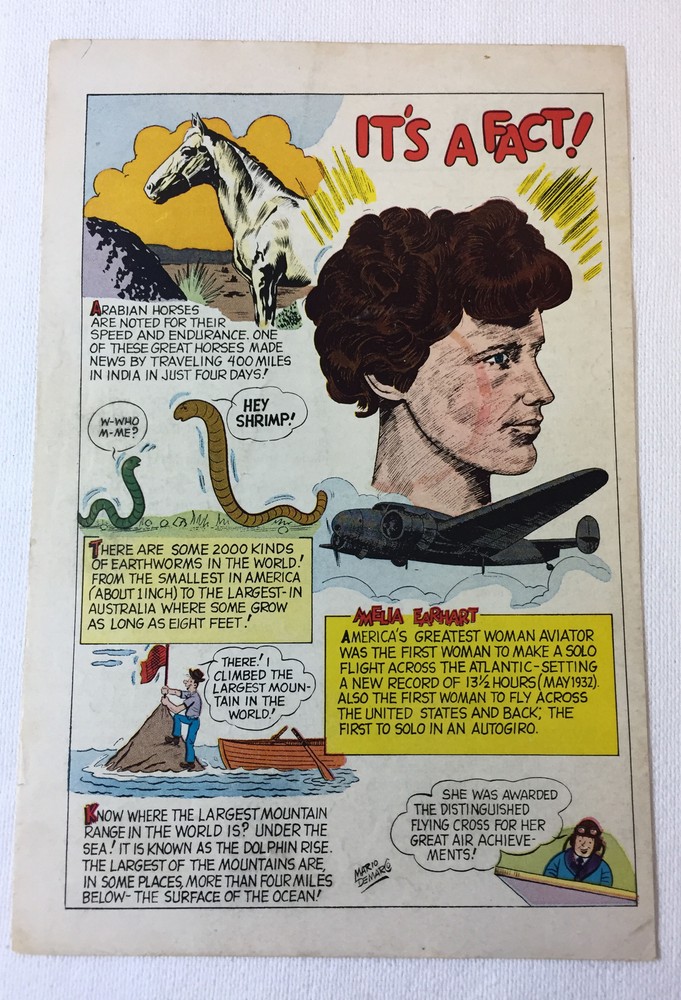 1969 cartoon page ~ AMELIA EARHART
