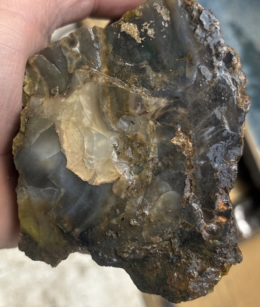 Colorful petrified wood