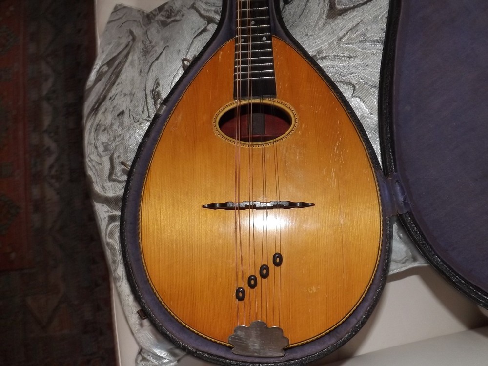 Rare Weymann Mandolute 100yrs old