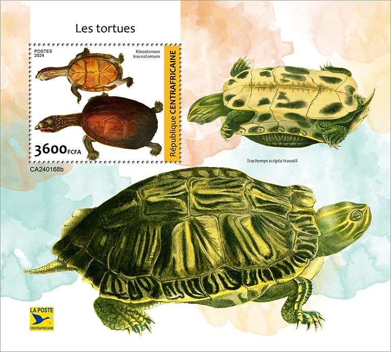Turtles