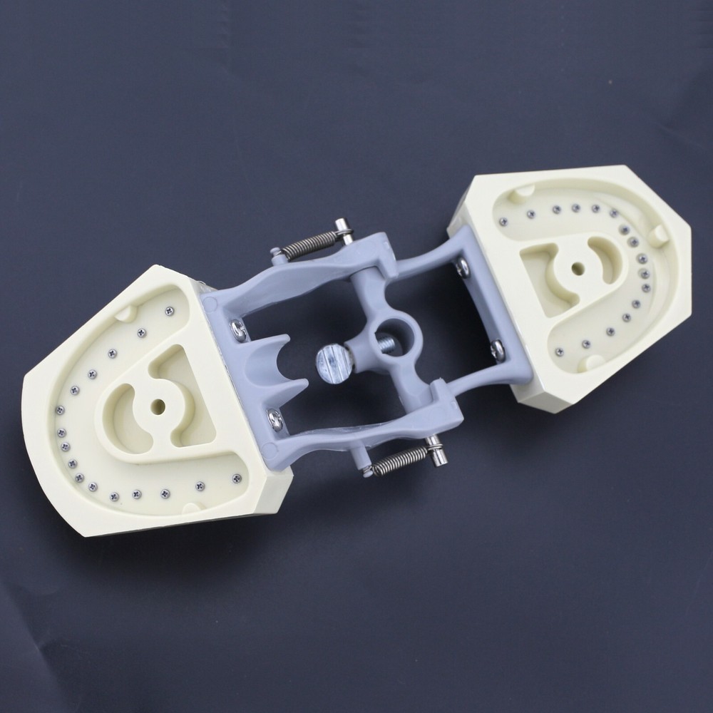 Dental Typodont Model Columbia Dentoform 860 Type With 32pcs Removable Teeth