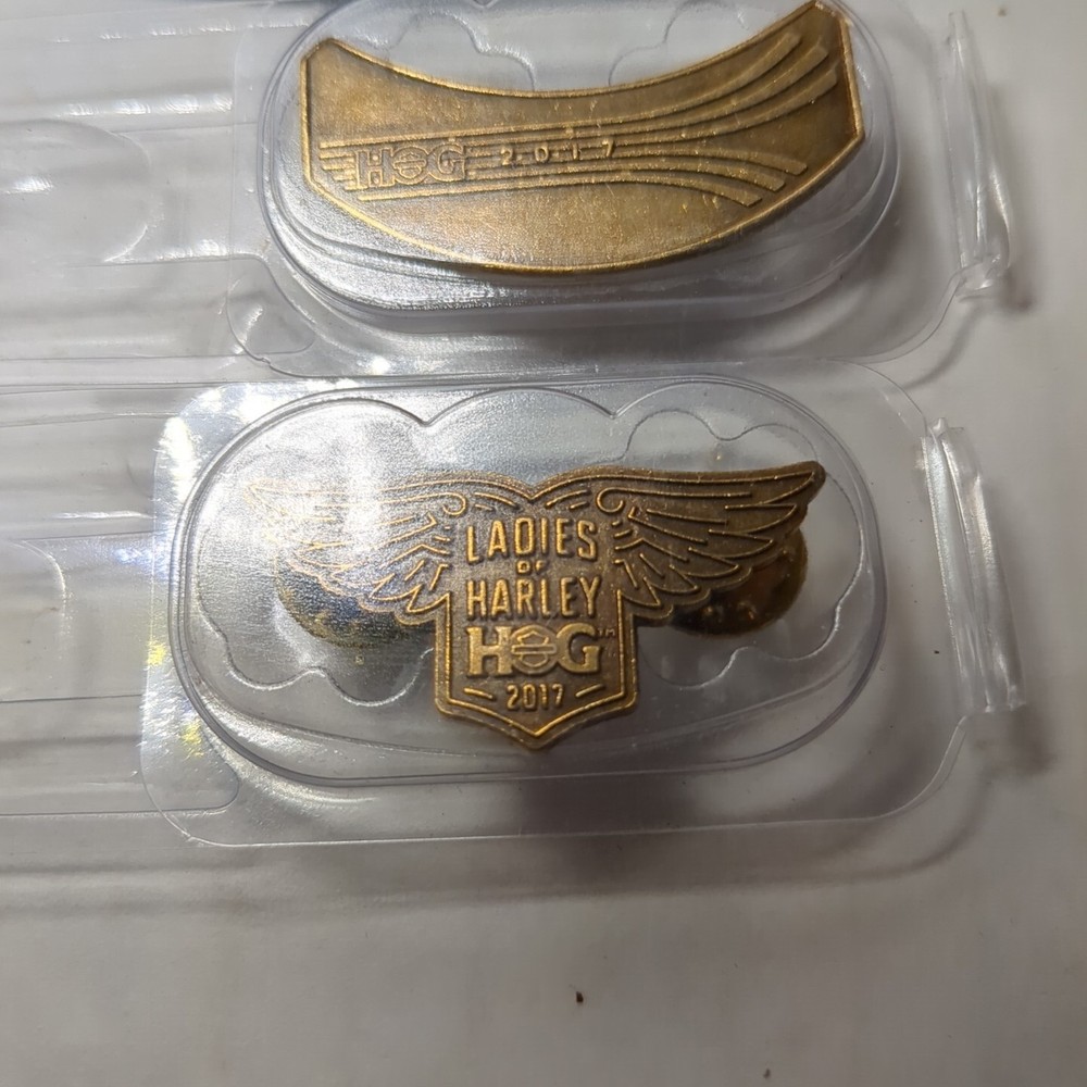 Harley Davidson Owners Group HOG Pin And Patch Set 2017